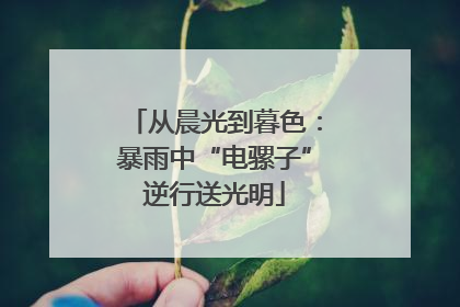 从晨光到暮色：暴雨中“电骡子”逆行送光明