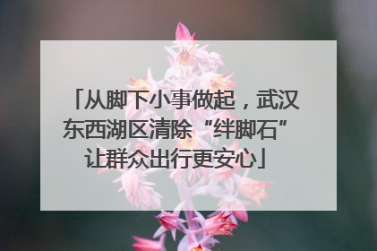 从脚下小事做起，武汉东西湖区清除“绊脚石”让群众出行更安心
