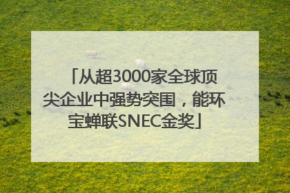 从超3000家全球顶尖企业中强势突围，能环宝蝉联SNEC金奖
