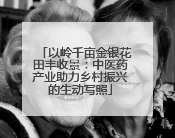 以岭千亩金银花田丰收景：中医药产业助力乡村振兴的生动写照