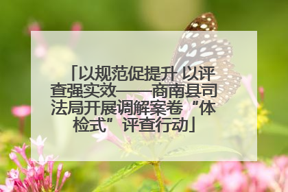 以规范促提升 以评查强实效——商南县司法局开展调解案卷“体检式”评查行动