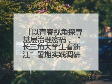 以青春视角探寻基层治理密码，“长三角大学生看浙江”暑期实践调研活动侧记