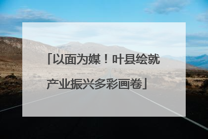 以面为媒！叶县绘就产业振兴多彩画卷