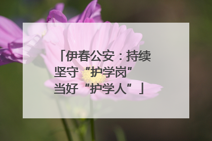 伊春公安：持续坚守“护学岗” 当好“护学人”