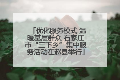 优化服务模式 温暖基层群众 石家庄市“三下乡”集中服务活动在赵县举行