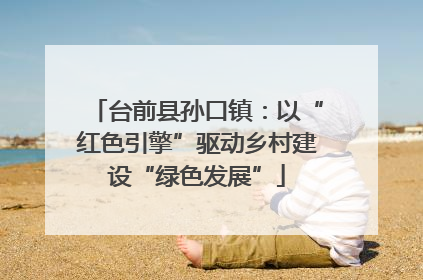 台前县孙口镇：以“红色引擎”驱动乡村建设“绿色发展”