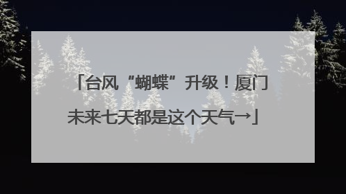 台风“蝴蝶”升级！厦门未来七天都是这个天气→