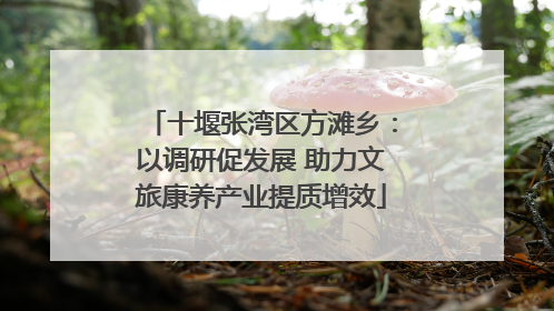 十堰张湾区方滩乡：以调研促发展 助力文旅康养产业提质增效