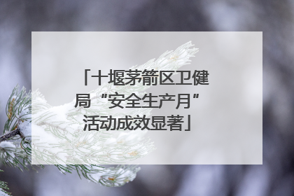 十堰茅箭区卫健局“安全生产月”活动成效显著