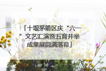 十堰茅箭区庆“六一”文艺汇演暨五育并举成果展圆满落幕