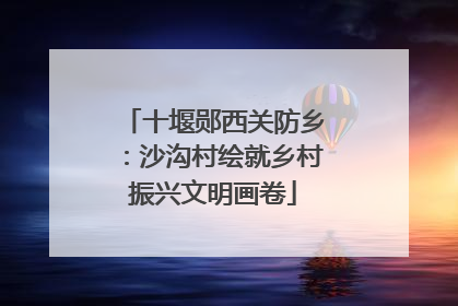 十堰郧西关防乡：沙沟村绘就乡村振兴文明画卷