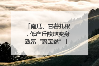 南瓜、甘薯扎根，低产丘陵地变身致富“聚宝盆”