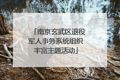 南京玄武区退役军人事务系统组织丰富主题活动