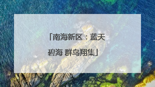 南海新区：蓝天碧海 群鸟翔集
