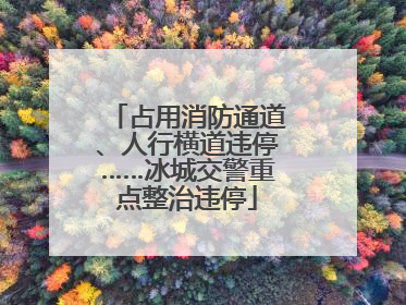 占用消防通道、人行横道违停……冰城交警重点整治违停
