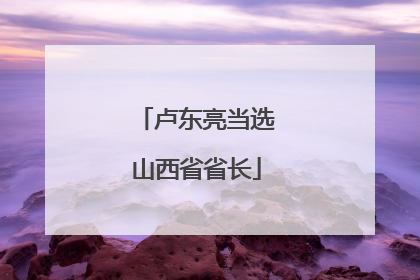 卢东亮当选山西省省长