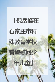 倪岳峰在石家庄市特殊教育学校看望慰问少年儿童
