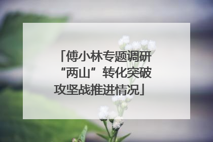 傅小林专题调研“两山”转化突破攻坚战推进情况