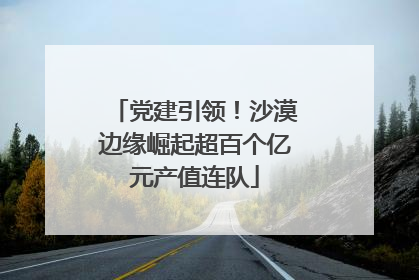 党建引领！沙漠边缘崛起超百个亿元产值连队