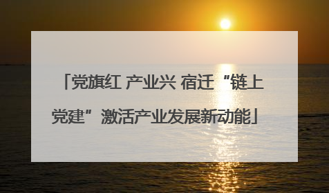 党旗红 产业兴 宿迁“链上党建”激活产业发展新动能