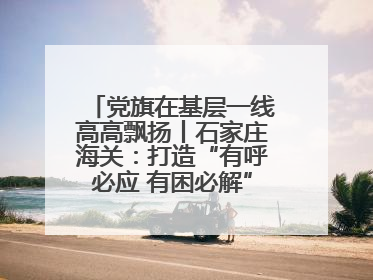 党旗在基层一线高高飘扬丨石家庄海关：打造“有呼必应 有困必解”关企互动新生态