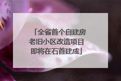 全省首个自建房老旧小区改造项目即将在石首建成
