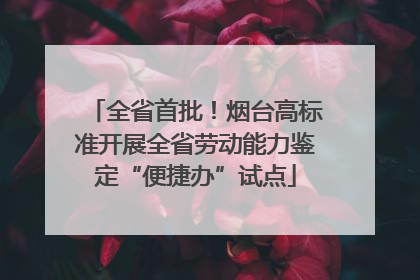 全省首批！烟台高标准开展全省劳动能力鉴定“便捷办”试点