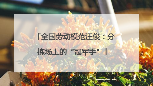 全国劳动模范汪俊：分拣场上的“冠军手”