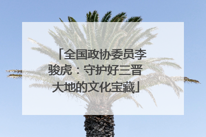 全国政协委员李骏虎：守护好三晋大地的文化宝藏