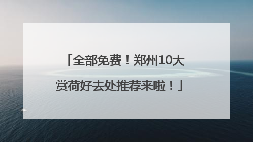 全部免费！郑州10大赏荷好去处推荐来啦！