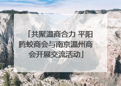 共聚温商合力 平阳腾蛟商会与南京温州商会开展交流活动
