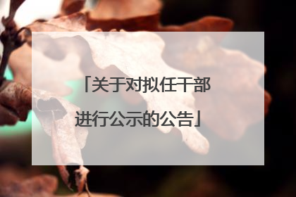 关于对拟任干部进行公示的公告