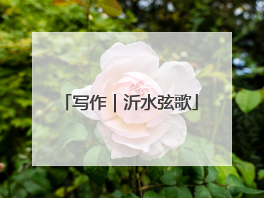 写作｜沂水弦歌
