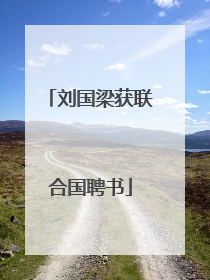 刘国梁获联合国聘书