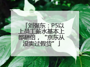 刘强东：P5以上员工薪水基本上都翻倍，“京东从没卖过假货”
