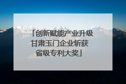 创新赋能产业升级 甘肃玉门企业斩获省级专利大奖