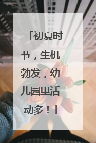 初夏时节，生机勃发，幼儿园里活动多！