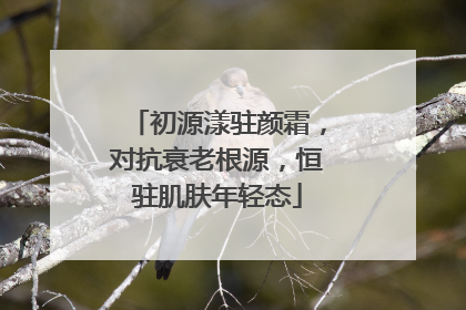初源漾驻颜霜，对抗衰老根源，恒驻肌肤年轻态