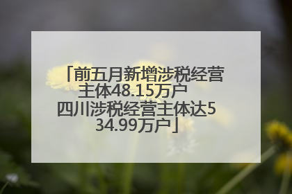 前五月新增涉税经营主体48.15万户 四川涉税经营主体达534.99万户