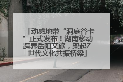 动感地带“洞庭谷卡”正式发布！湖南移动跨界岳阳文旅，架起Z世代文化共振桥梁