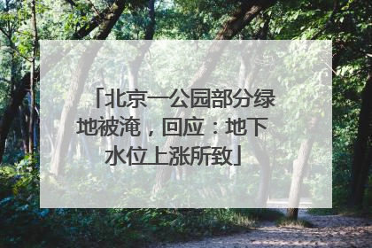 北京一公园部分绿地被淹，回应：地下水位上涨所致