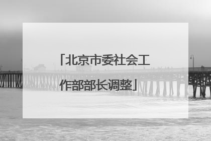 北京市委社会工作部部长调整