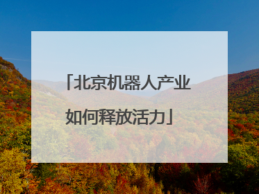 北京机器人产业如何释放活力