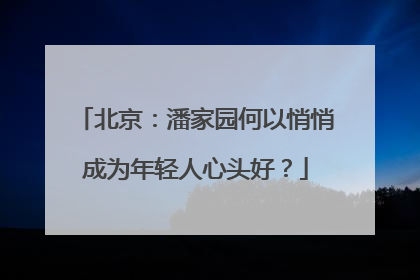 北京：潘家园何以悄悄成为年轻人心头好？