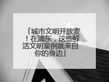 城市文明开放麦！在浦东，这些鲜活文明案例就来自你的身边