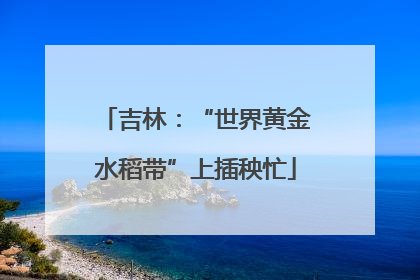 吉林：“世界黄金水稻带”上插秧忙