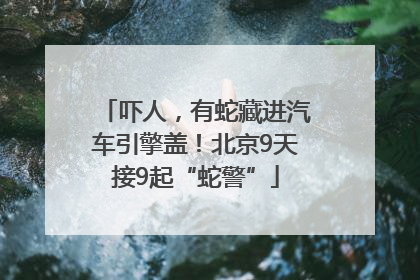 吓人，有蛇藏进汽车引擎盖！北京9天接9起“蛇警”