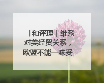 和评理｜维系对美经贸关系，欧盟不能一味妥协让步