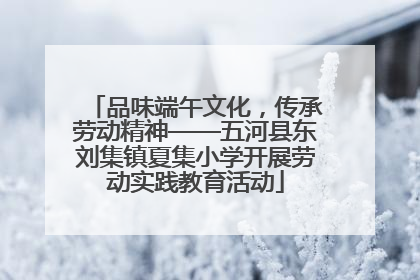 品味端午文化，传承劳动精神——五河县东刘集镇夏集小学开展劳动实践教育活动
