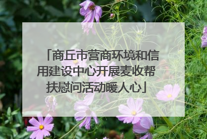 商丘市营商环境和信用建设中心开展麦收帮扶慰问活动暖人心